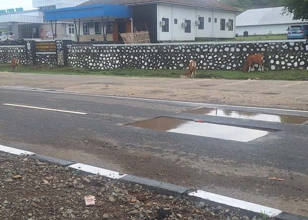 Yusuf Maula Kritisi Peresmian Jalur Dua Poto Tano, Gubernur NTB Jangan Hanya Seremonial, Kualitas Proyek Diduga Asal Jadi